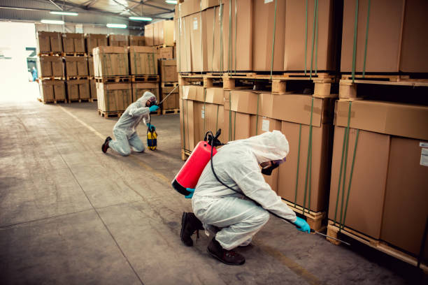 Best Pest Removal Services  in Anderson, MO