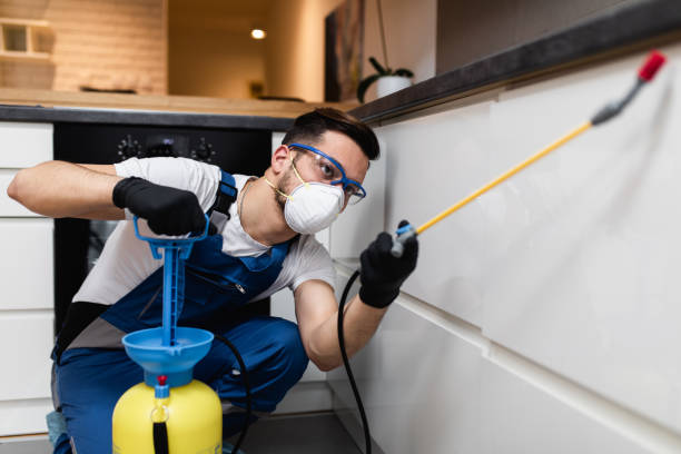 Best Pest Control Treatment  in Anderson, MO