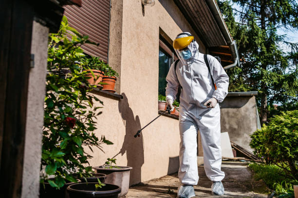 Reliable Anderson, MO Pest Control Solutions