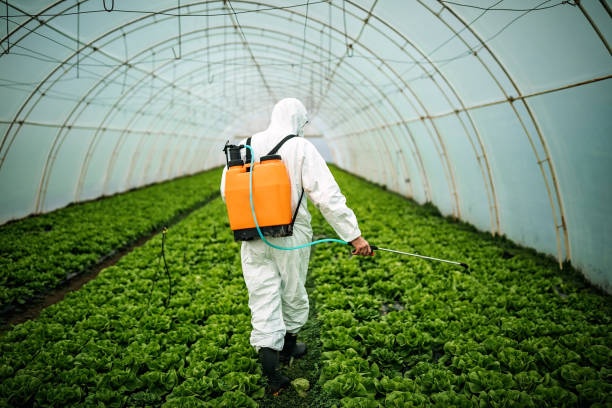 Best Affordable Pest Control Services  in Anderson, MO