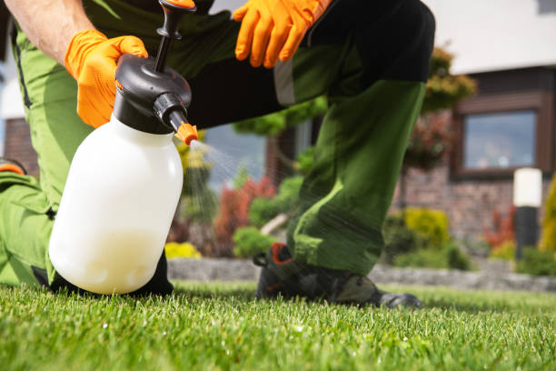 Best Best Pest Control Companies  in Anderson, MO
