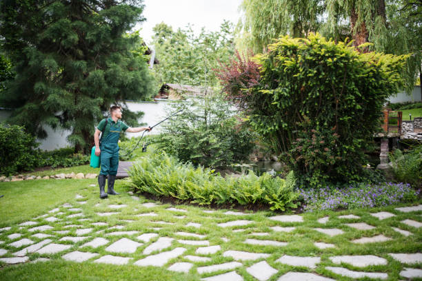 Best Wildlife Control Services  in Anderson, MO