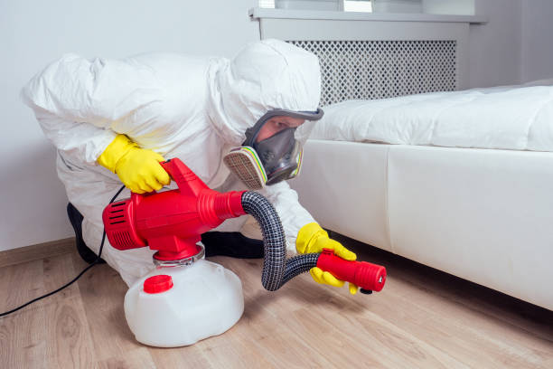 Best Pest Inspection Near Me  in Anderson, MO