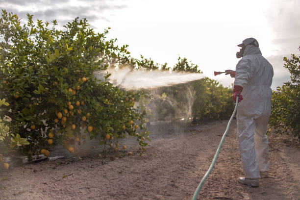 Best Affordable Pest Control Services  in Anderson, MO