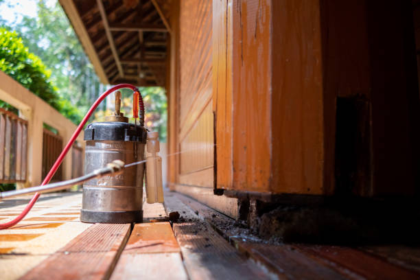 Best Affordable Pest Control Services  in Anderson, MO