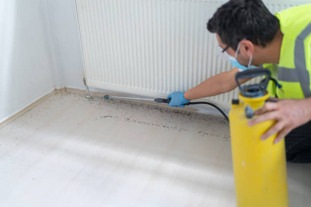Best Local Pest Control Services  in Anderson, MO