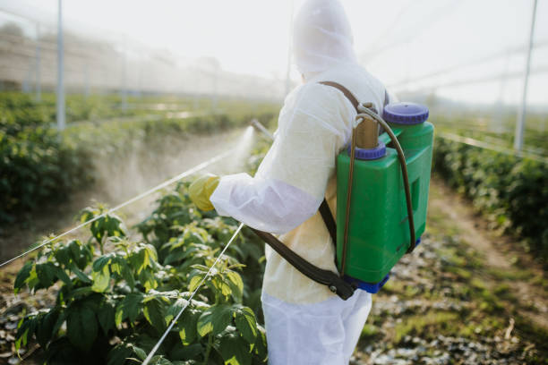 Best Termite Control Services  in Anderson, MO
